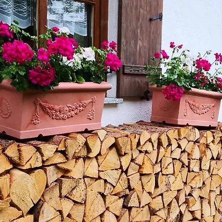 Haus Bullachberg Apartment *