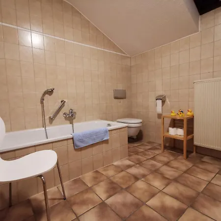 Haus Bullachberg Апартаменты