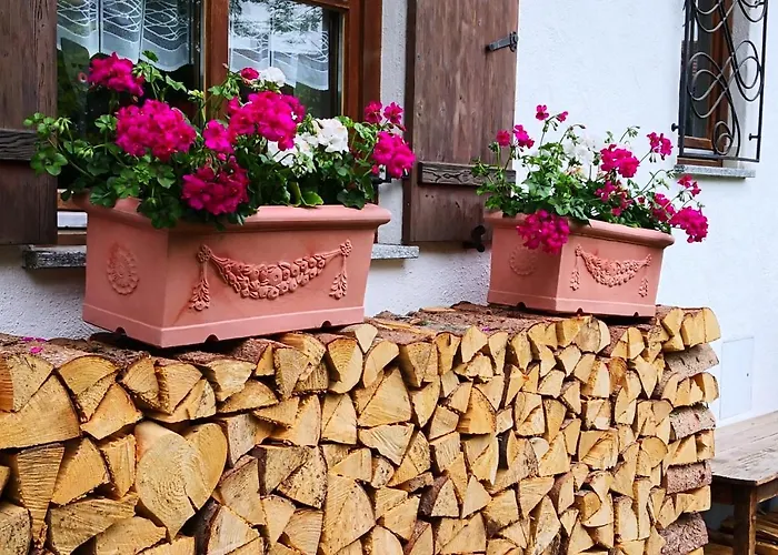 Haus Bullachberg Daire *
